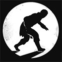 Shadow Walker