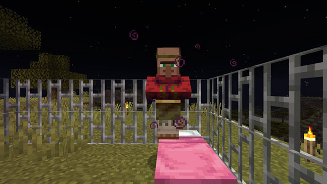 minecraft town 6