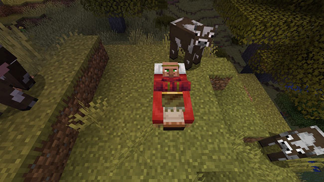 minecraft town 7