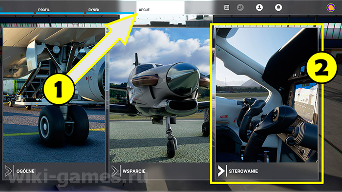 Microsoft Flight Simulator control 1