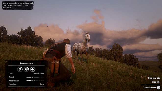 Red Dead Redemption 2 - ловим дикую лошадь