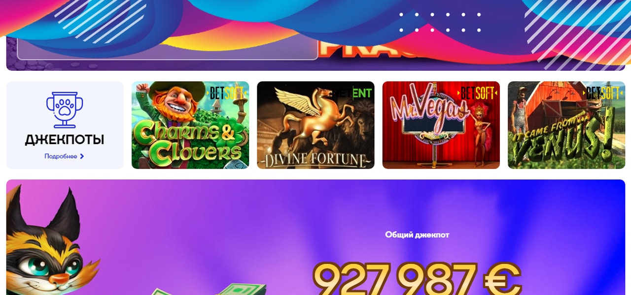 обзор cat casino на деньги